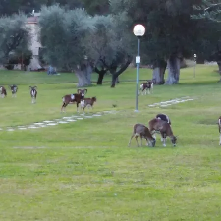 Villa Gardella Villa Pugnochiuso